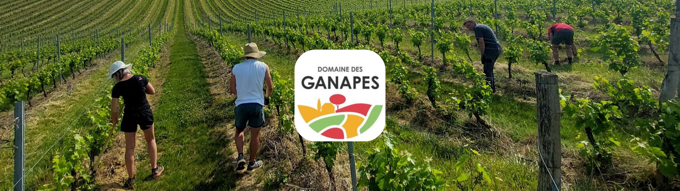 producteurs récoltants de vin à réalville 82