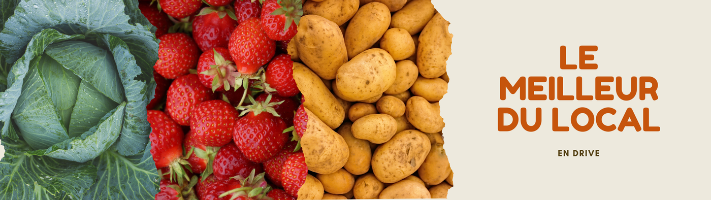fruits et légumes locaux en circuit court dans le Tarn et Garonne à Nègrepelisse