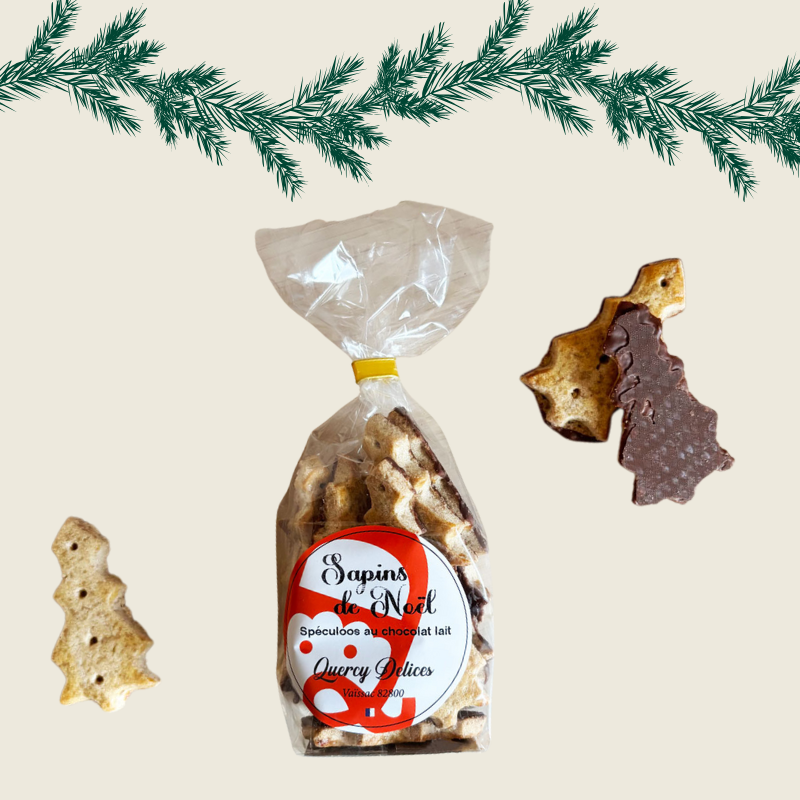 Sablés de Noël - Spéculoos / chocolat au lait
