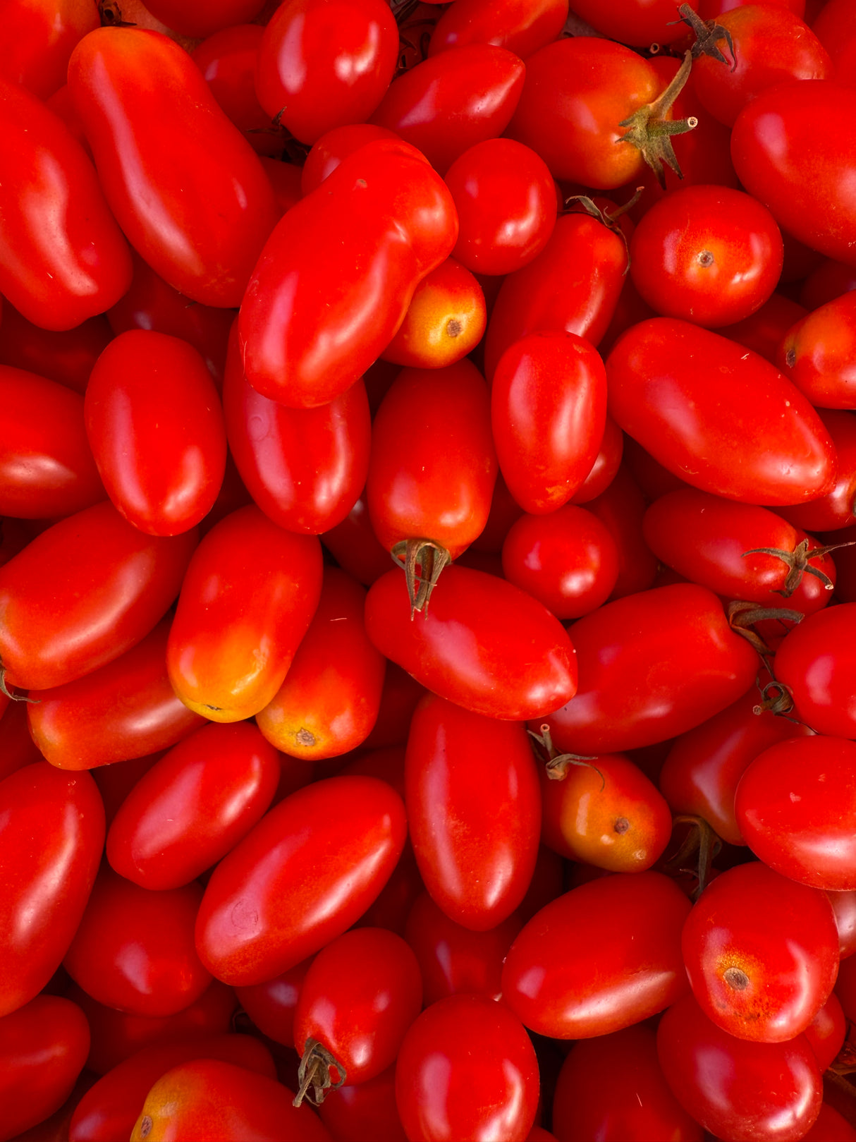 Tomates cerises - 250g