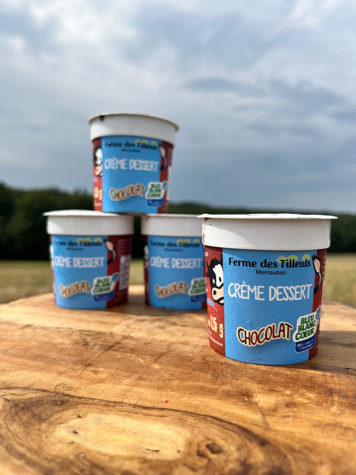 Crème dessert chocolat x4 - DLC 22/11