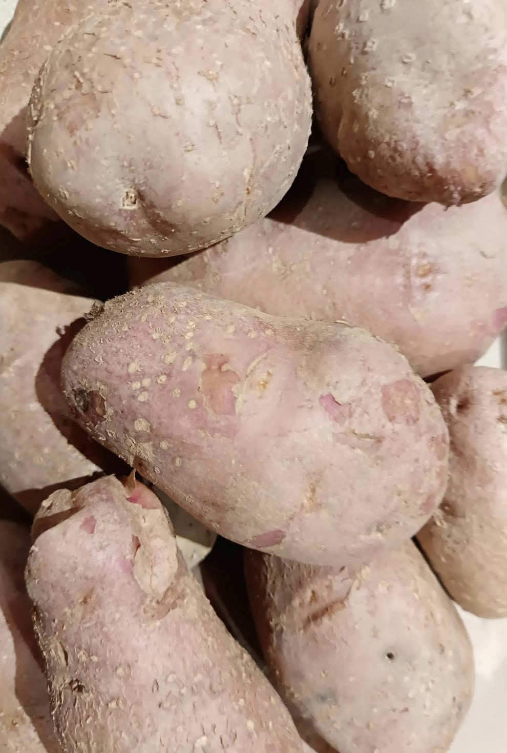 Pommes de terre roses - Désirée - 1kg