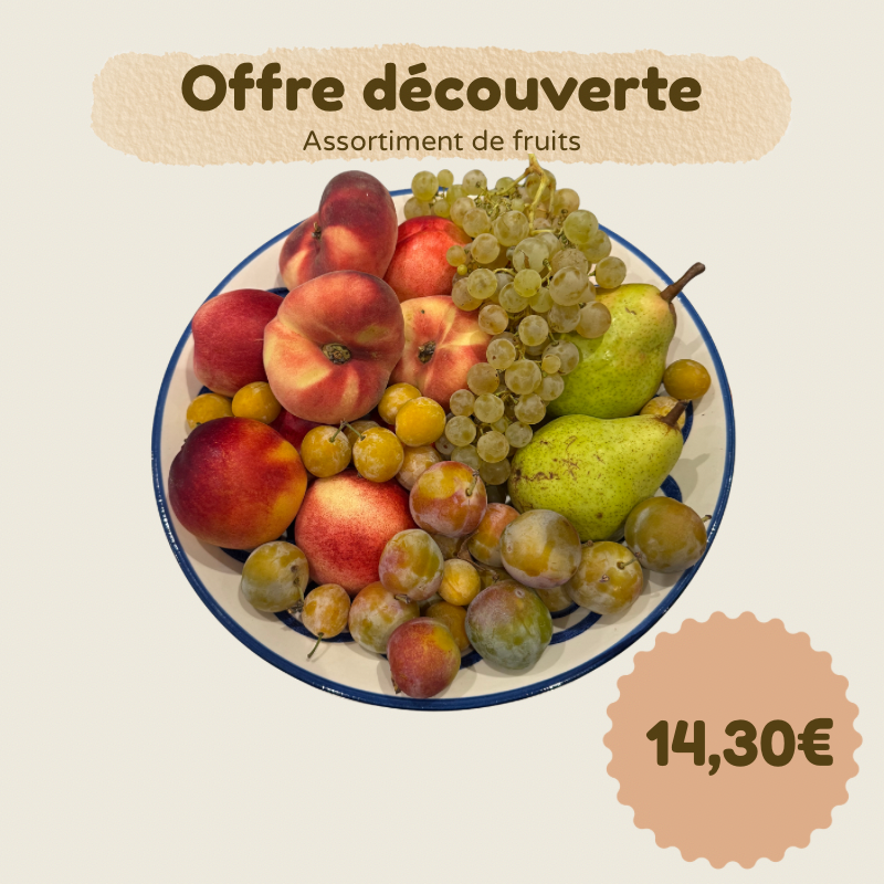 Assortiment de fruits