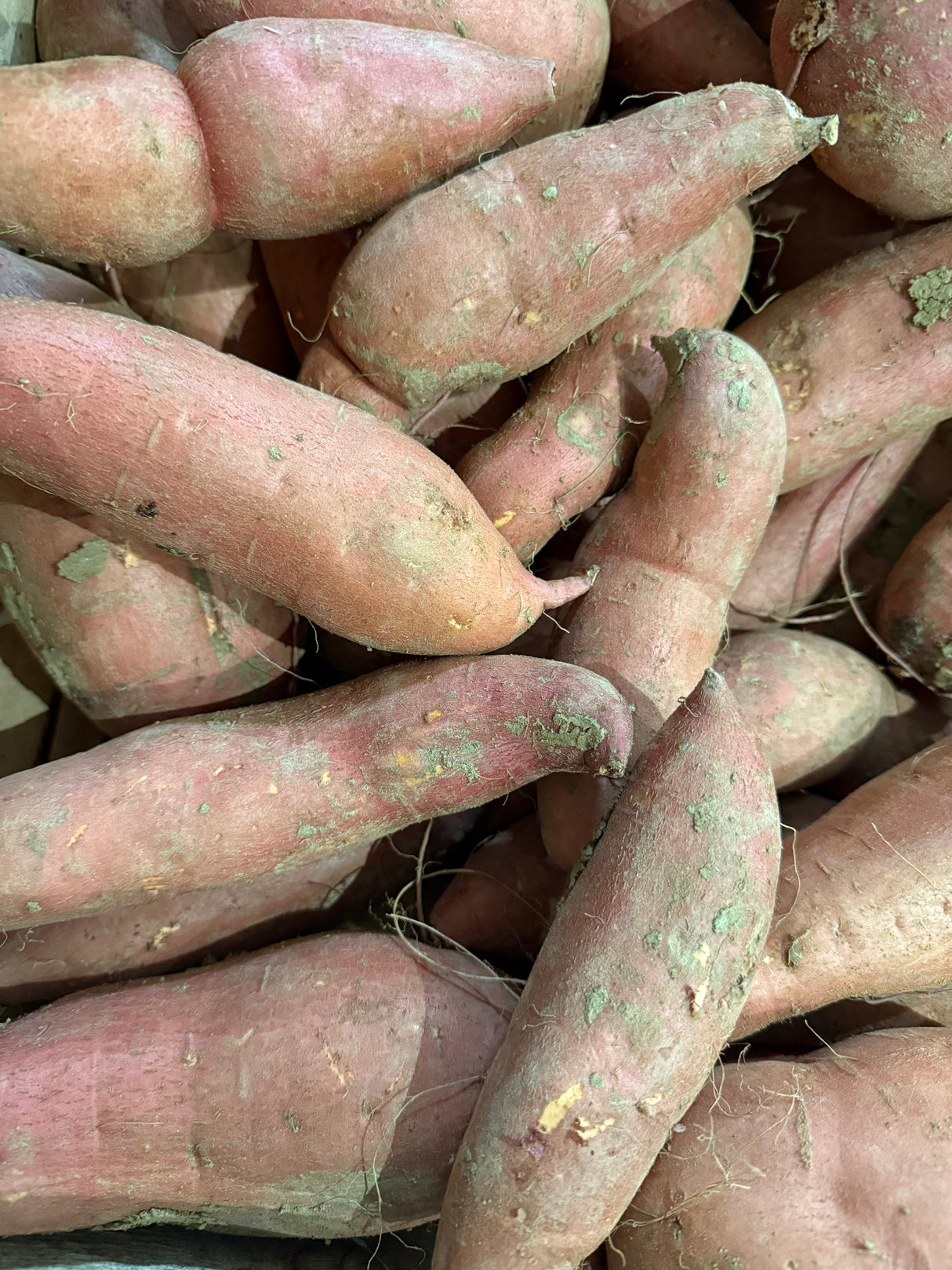 Patate douces - 1kg
