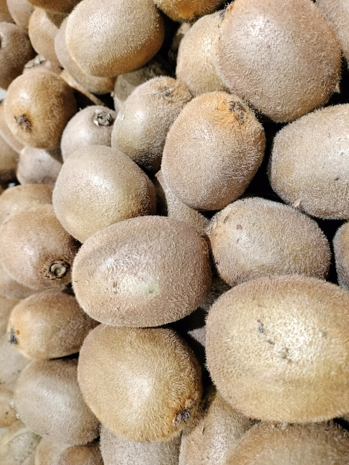 Kiwis verts Hayward - 500g