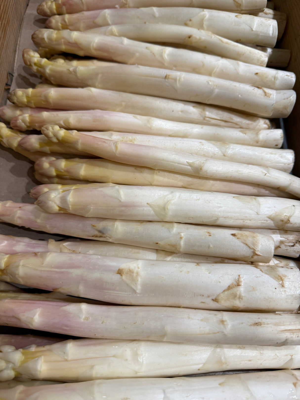 Asperges blanches en vrac - 500g