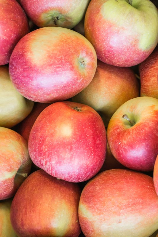 Pomme Reine des Reinettes - 1kg100