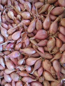Échalotes - 200g