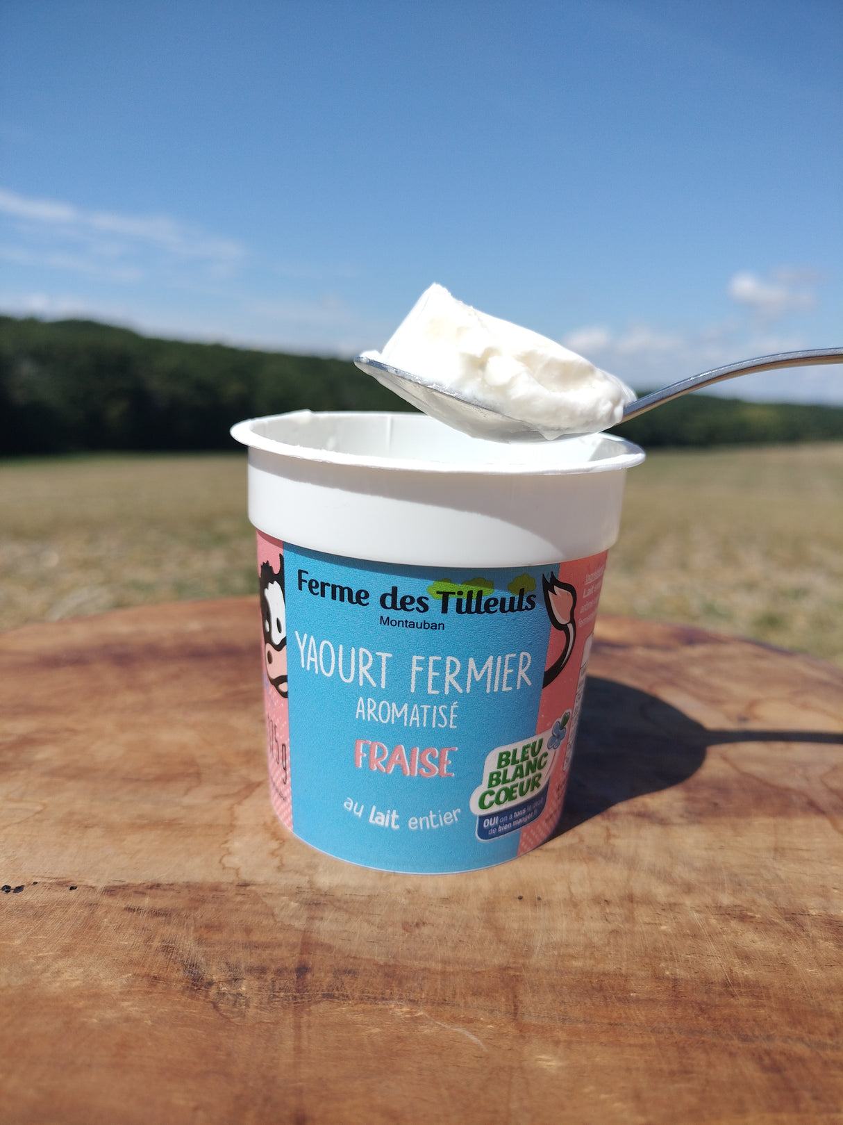Yaourts X4 - Fraise