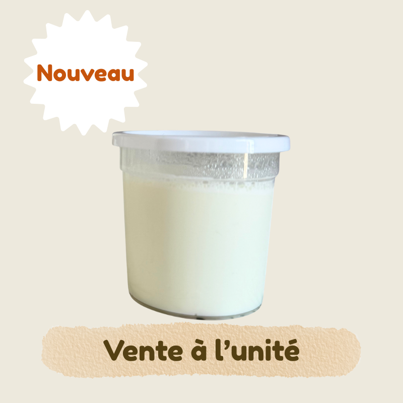 Yaourts de Brebis - Nature